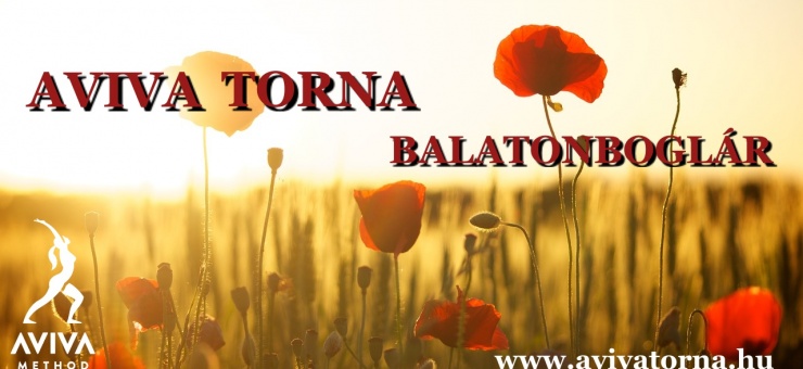 AVIVA MÓDSZER betanító foglalkozás