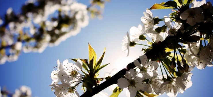 6 évnyi kűzdelem után...