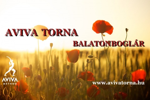 AVIVA MÓDSZER betanító foglalkozás