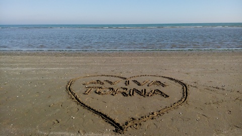 Az Aviva Módszer története